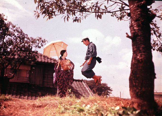 おとうと(1960)