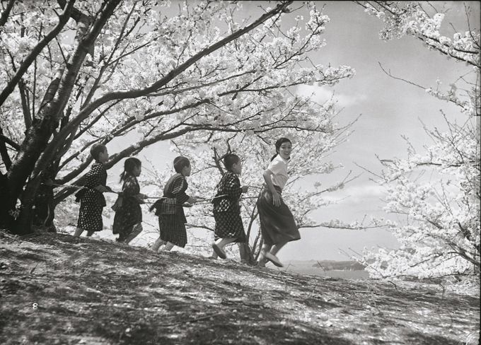 二十四の瞳(1954)