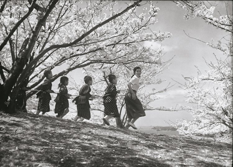 二十四の瞳(1954) メイン画像