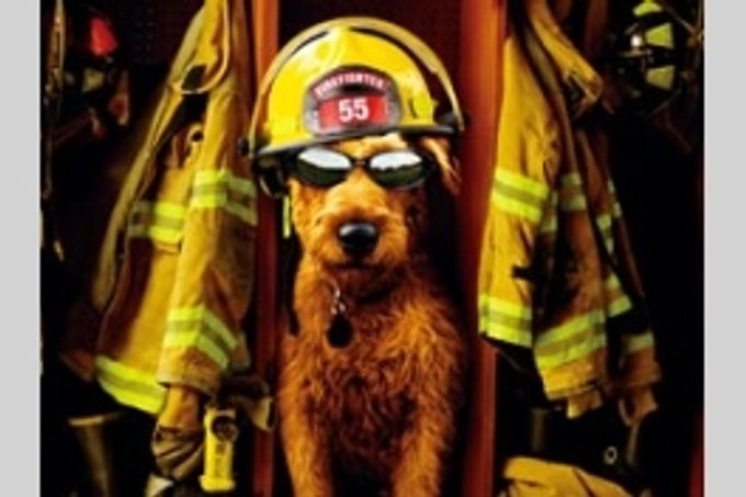 ファイアー・ドッグ　消防犬デューイの大冒険
