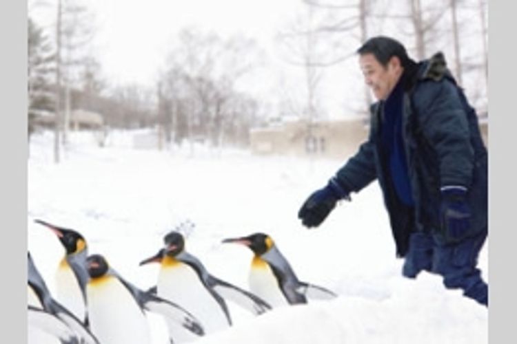 旭山動物園物語 ペンギンが空をとぶ メイン画像