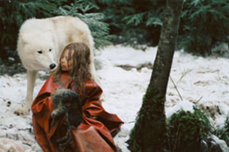ミーシャ ホロコーストと白い狼 メイン画像