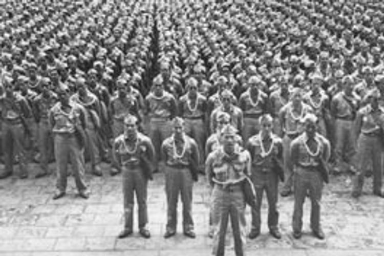 442日系部隊 アメリカ史上最強の陸軍 メイン画像