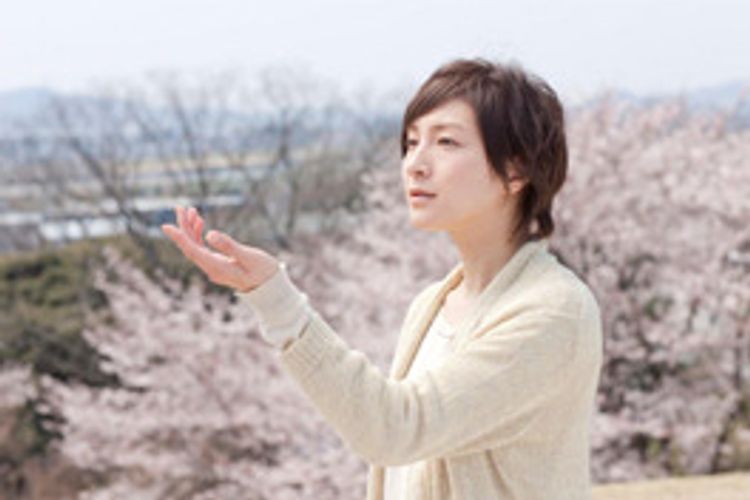 桜、ふたたびの加奈子 メイン画像