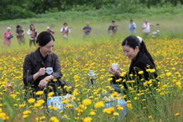 常盤貴子 大林組は 幸せな現場の裏には緊張感 と充実感を語る 最新の映画ニュースならmovie Walker Press