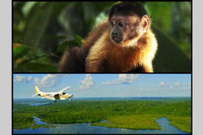 アマゾン大冒険 世界最大のジャングルを探検しよう！
