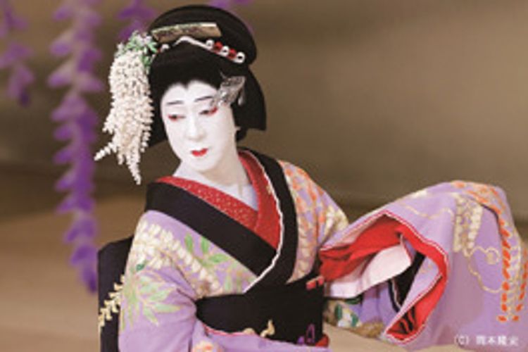 シネマ歌舞伎 二人藤娘 メイン画像