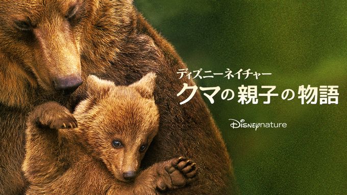 ディズニーネイチャー　クマの親子の物語