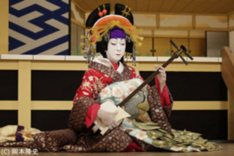 シネマ歌舞伎 阿古屋 メイン画像