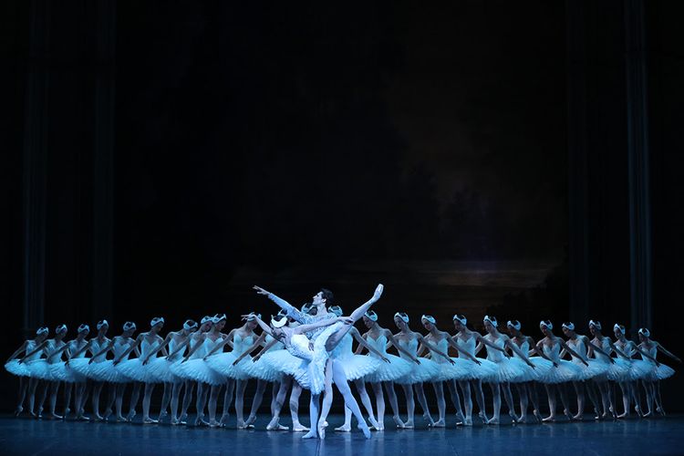 パリ・オペラ座 『白鳥の湖』 メイン画像