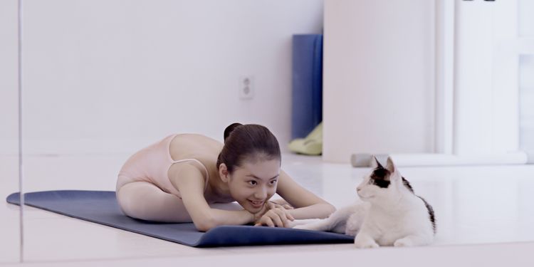 私と猫のサランヘヨ メイン画像