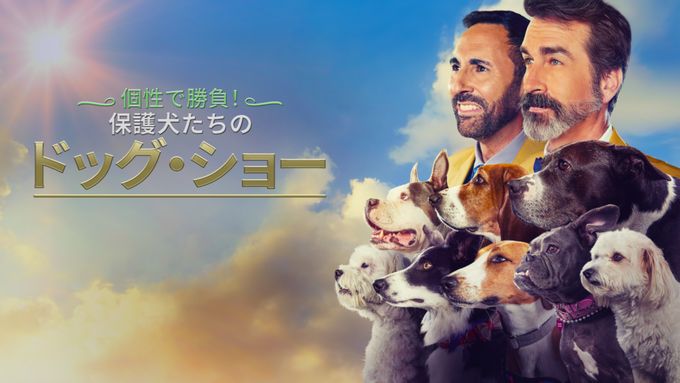 個性で勝負！保護犬たちのドッグ・ショー