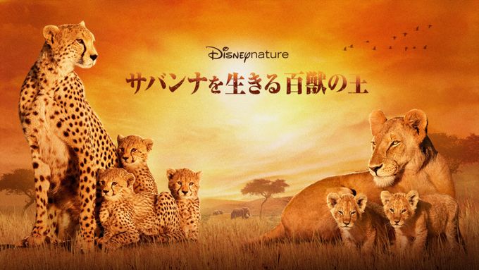 ディズニーネイチャー／サバンナを生きる百獣の王