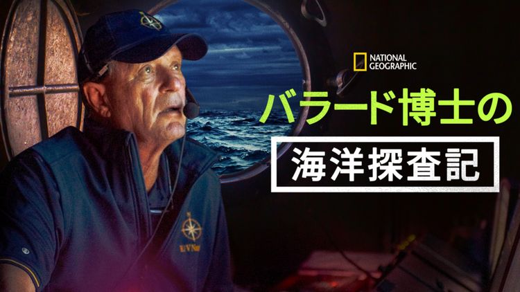 Bob Ballard: An Explorer's Life メイン画像