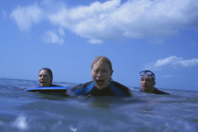赤い珊瑚礁 オープン ウォーターのフォトギャラリー画像 9 16 Movie Walker Press 映画