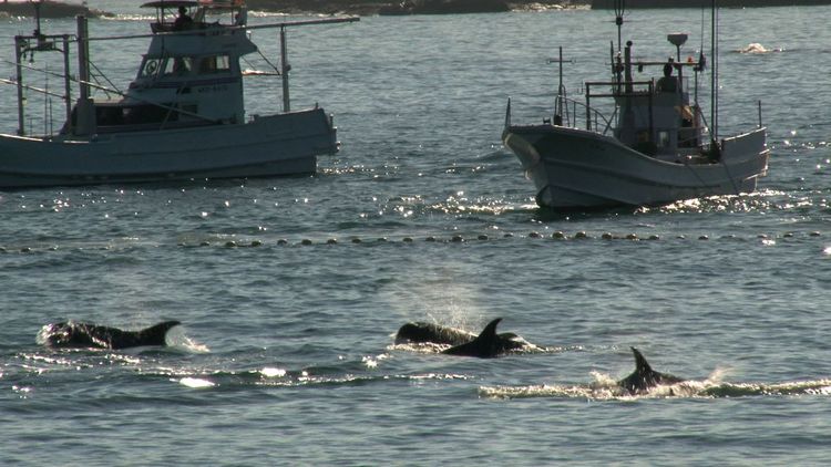 おクジラさま　ふたつの正義の物語 画像2