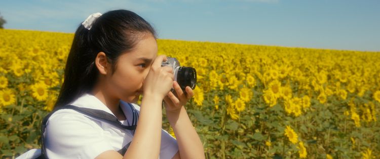 写真甲子園　０．５秒の夏 画像5