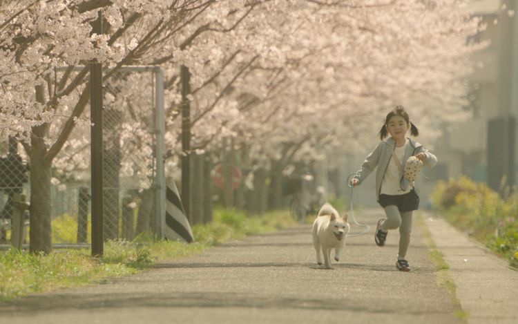 駅までの道をおしえて 画像2