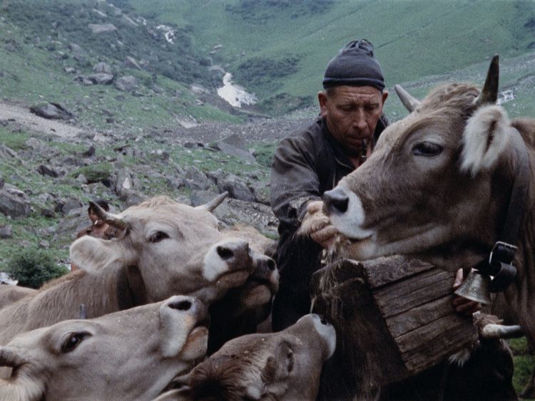 我ら山人たち　我々山国の人間が山間に住むのは、我々のせいではない 画像3