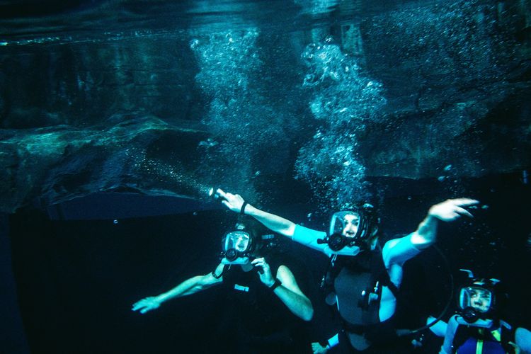 海底47m 古代マヤの死の迷宮 画像4