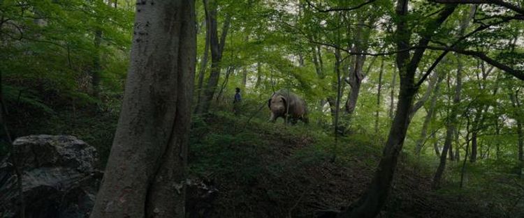 オクジャ/okja 画像49