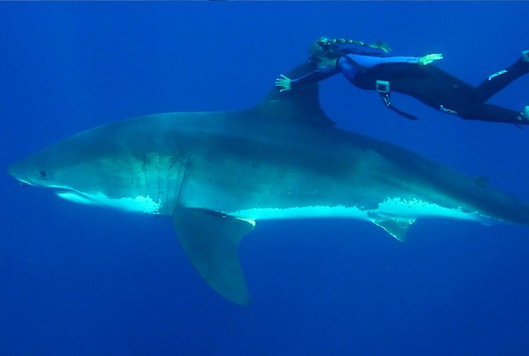 シー・イズ・オーシャン 画像9