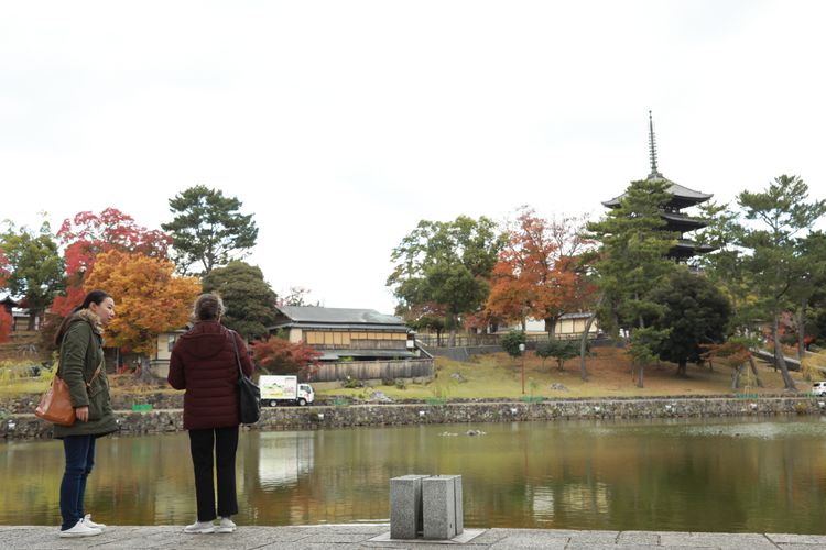 再会の奈良 画像10