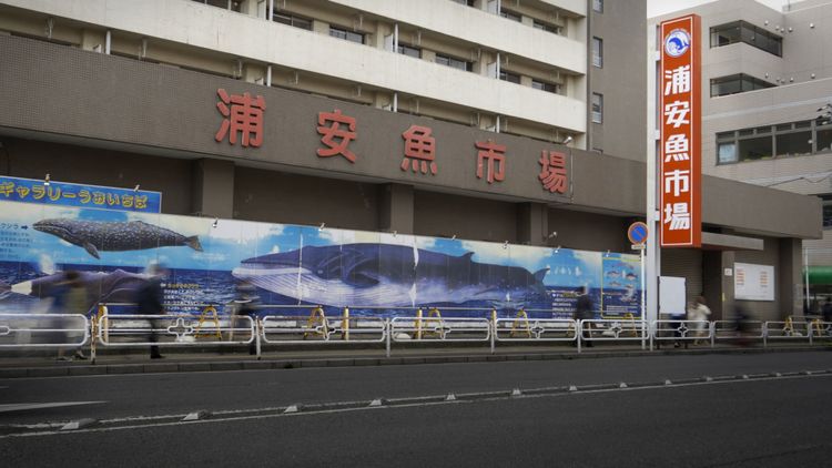 浦安魚市場のこと 画像3