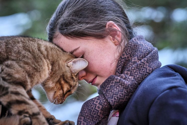 ルー、パリで生まれた猫 画像3