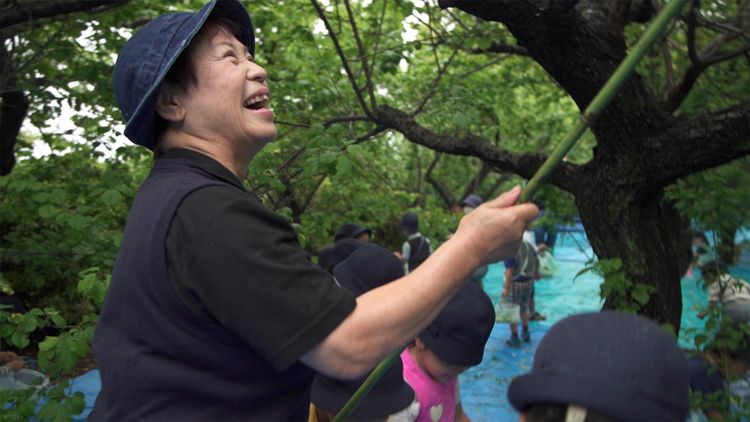 時代遅れの最先端 　風の谷幼稚園の子どもたち 画像7