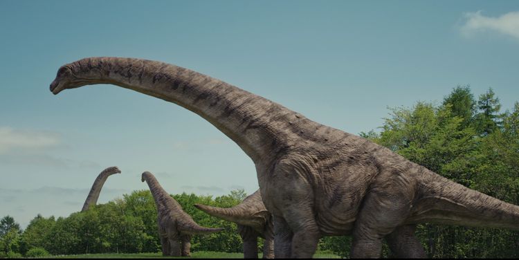 恐竜超伝説2　劇場版ダーウィンが来た！ 画像2