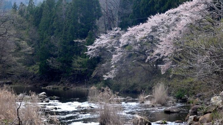 津島　福島は語る・第二章 画像18