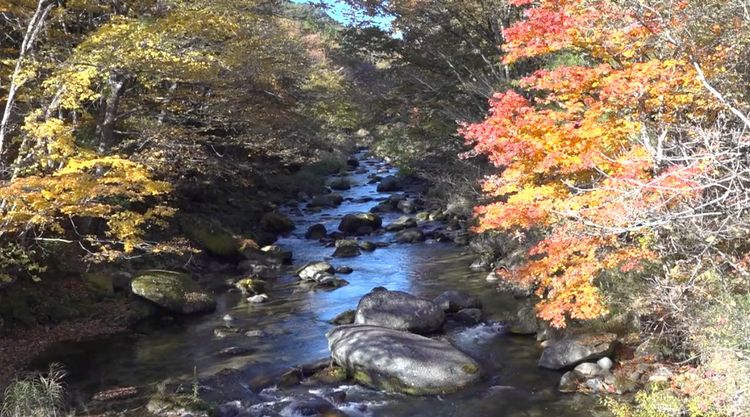 津島　福島は語る・第二章 画像20