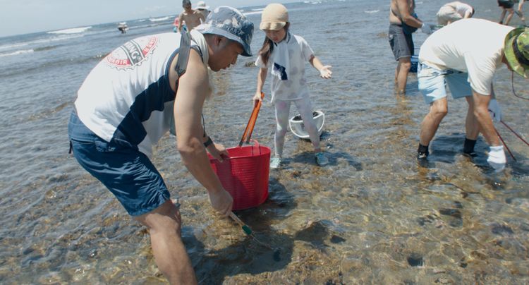 ここにいる、生きている。　消えゆく海藻の森に導かれて 画像5