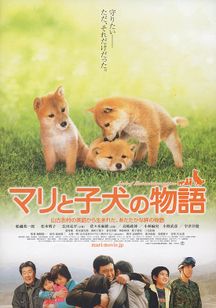 マリと子犬の物語 Movie Walker Press