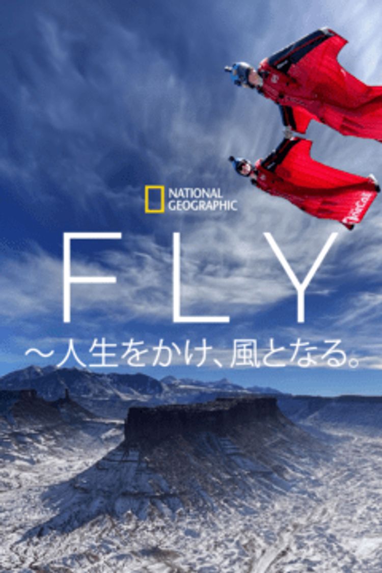 ＦＬＹ ポスター画像