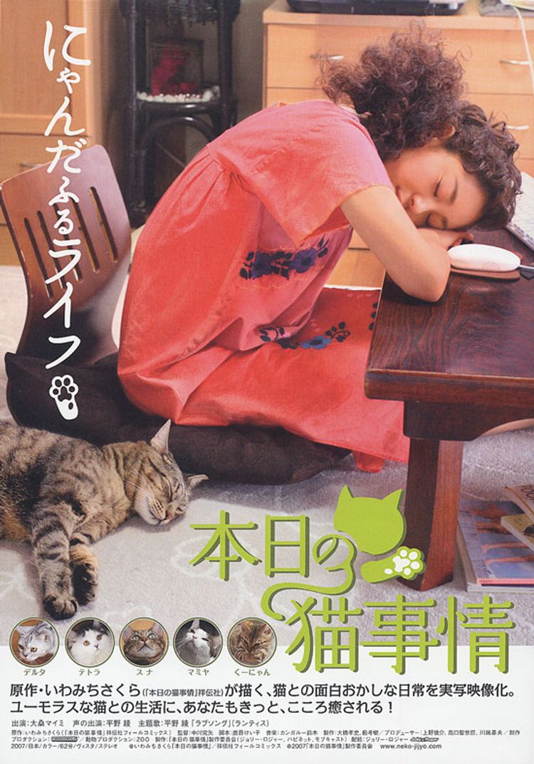 本日の猫事情 ポスター画像