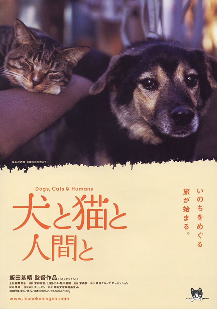 犬と猫と人間と ポスター画像