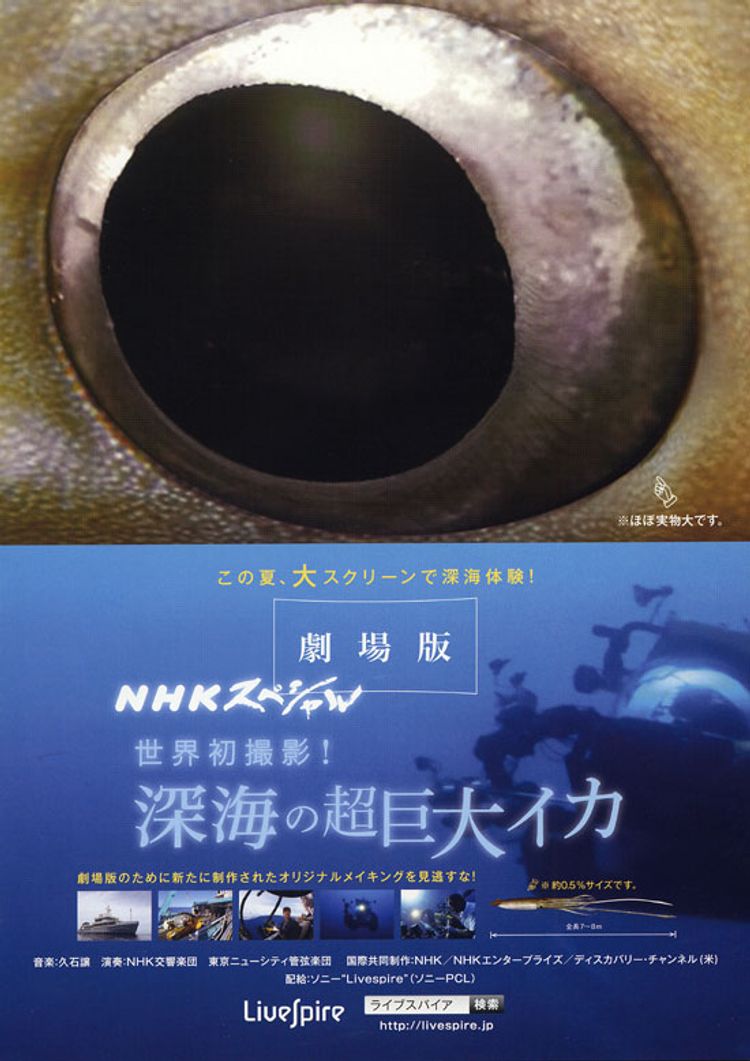 劇場版 NHKスペシャル 世界初撮影！ 深海の超巨大イカ ポスター画像