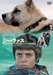 シーヴァス 王子さまになりたかった少年と負け犬だった闘犬の物語