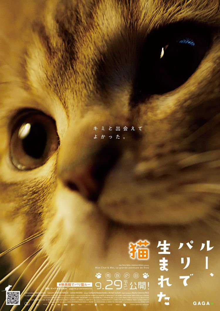 ルー、パリで生まれた猫 ポスター画像