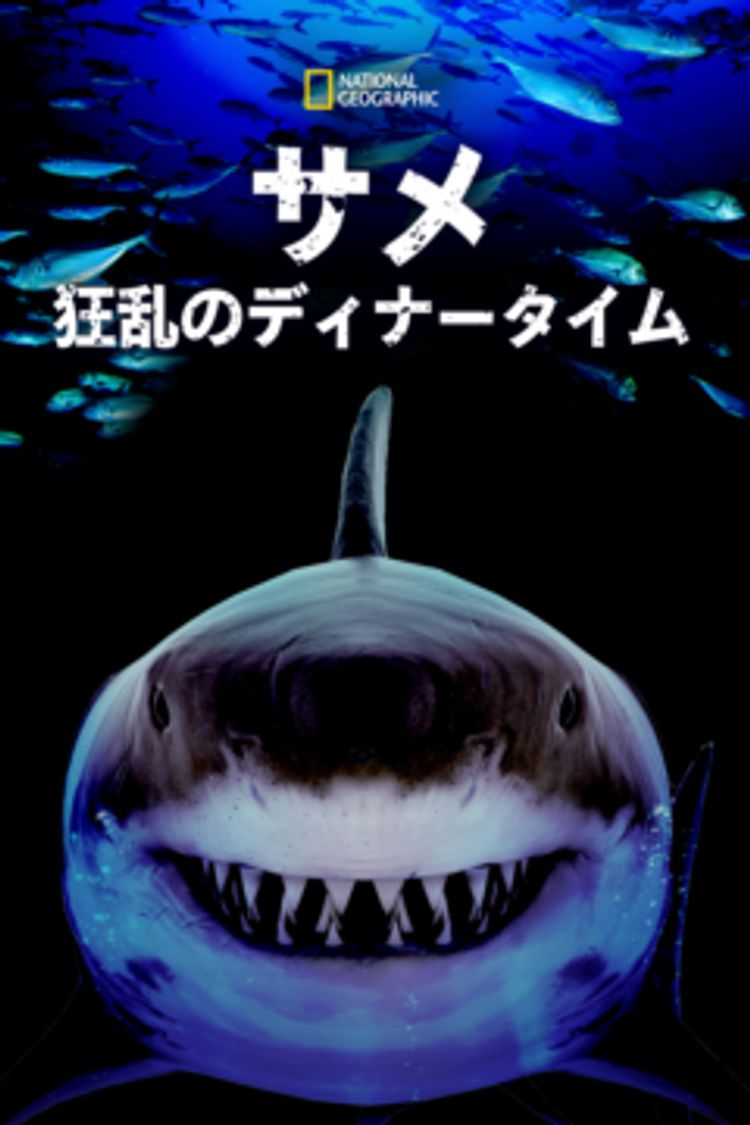 サメ：狂乱のディナータイム ポスター画像