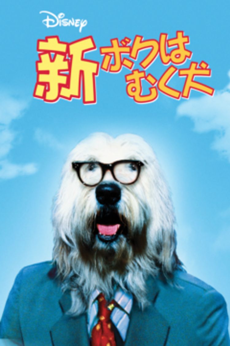 新・ボクはむく犬 ポスター画像