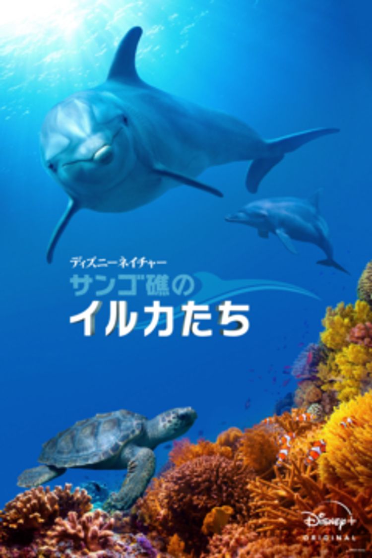 ディズニーネイチャー／サンゴ礁のイルカたち ポスター画像
