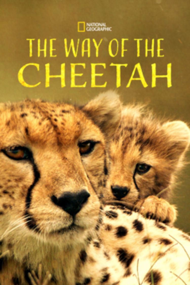 The Way of the Cheetah ポスター画像