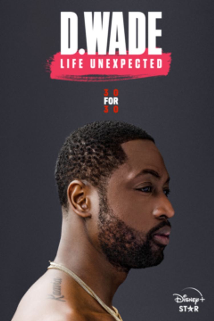 D. Wade: Life Unexpected ポスター画像