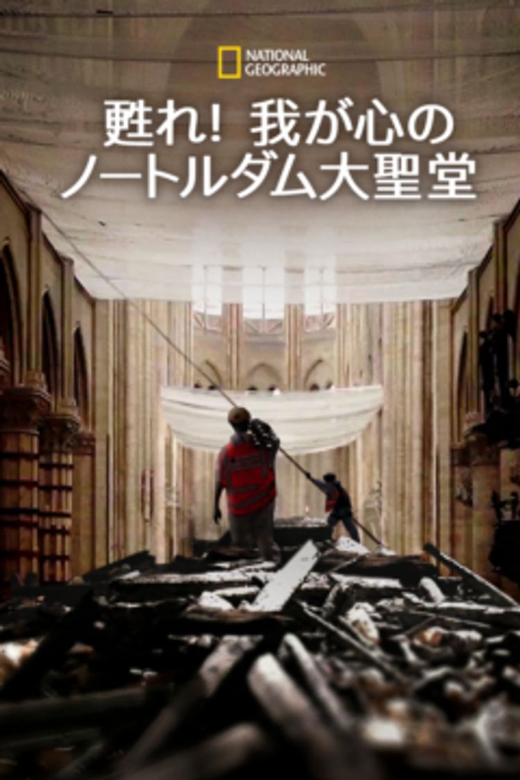 甦れ！我が心のノートルダム大聖堂 ポスター画像