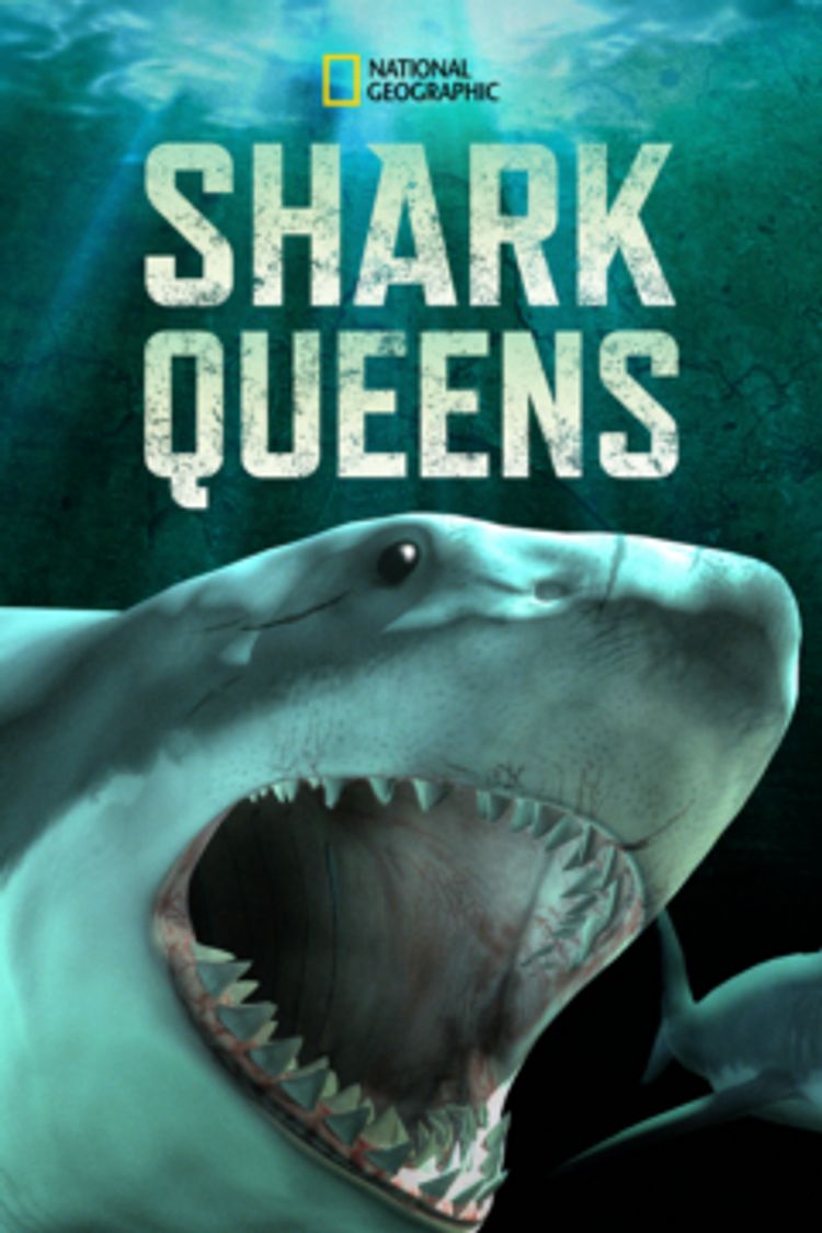 Shark Queens ポスター画像