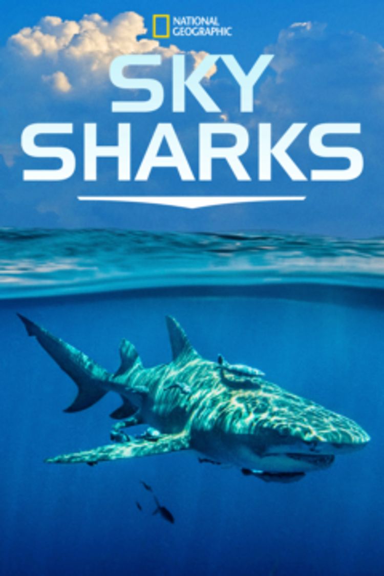 Sky Sharks ポスター画像