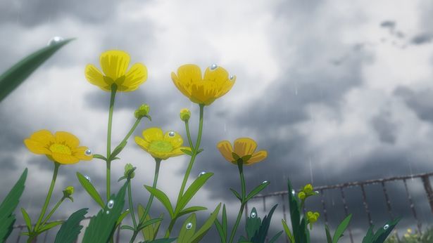 空に草花、ファストフードでさえも愛おしく感じてしまう